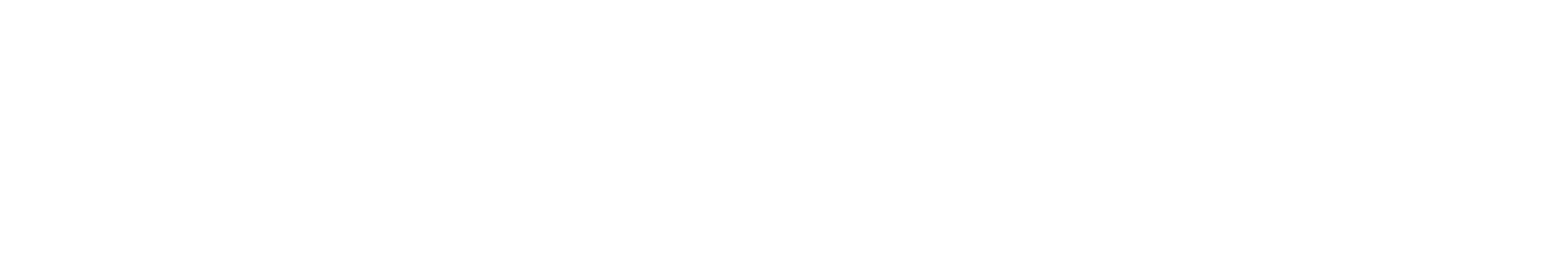 LOGO BRANCO FONTE SOLAR@300x